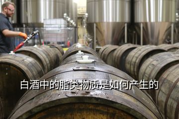 白酒中的脂類物質是如何產(chǎn)生的