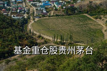 基金重倉股貴州茅臺(tái)