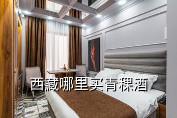 西藏哪里買(mǎi)青稞酒