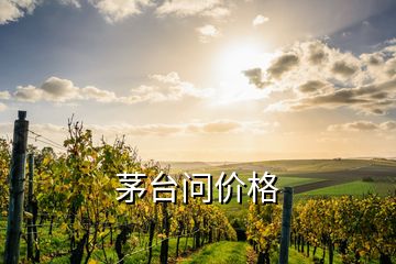 茅臺問價格