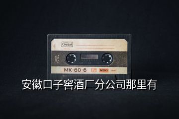 安徽口子窖酒廠分公司那里有