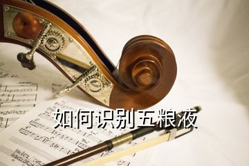 如何識(shí)別五糧液