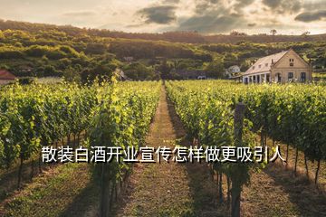 散裝白酒開(kāi)業(yè)宣傳怎樣做更吸引人