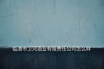 臨清市衛(wèi)河酒業(yè)有限責任公司怎么樣