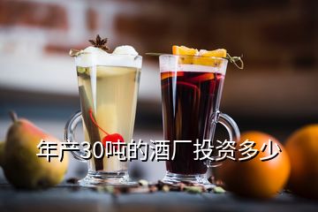 年產30噸的酒廠投資多少