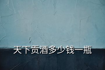 天下貢酒多少錢一瓶