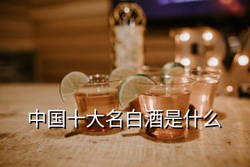 中國十大名白酒是什么