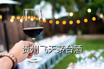 貴州飛天茅臺(tái)酒
