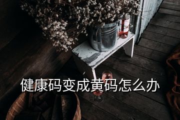 健康碼變成黃碼怎么辦