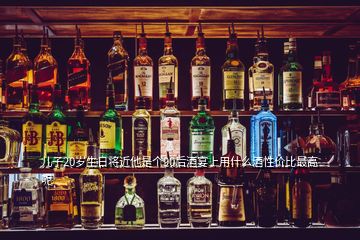 兒子20歲生日將近他是個90后酒宴上用什么酒性價比最高呢