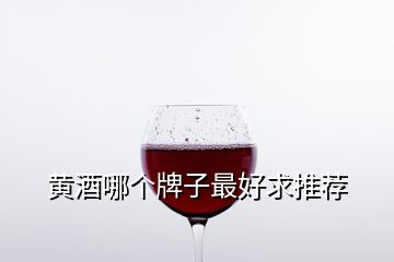 黃酒哪個(gè)牌子最好求推薦