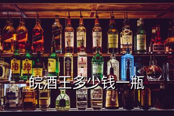 皖酒王多少錢(qián)一瓶