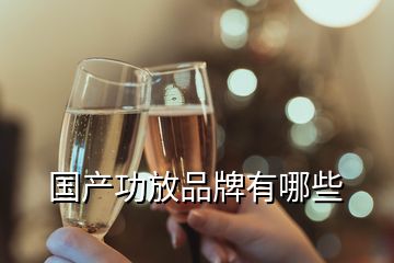 國(guó)產(chǎn)功放品牌有哪些
