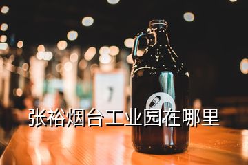 張?jiān)熍_(tái)工業(yè)園在哪里