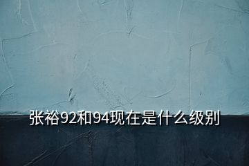 張?jiān)?2和94現(xiàn)在是什么級別