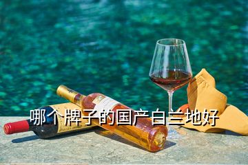 哪個牌子的國產(chǎn)白蘭地好