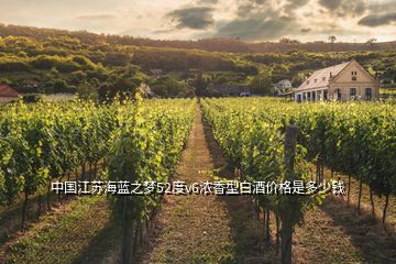 中國(guó)江蘇海藍(lán)之夢(mèng)52度v6濃香型白酒價(jià)格是多少錢