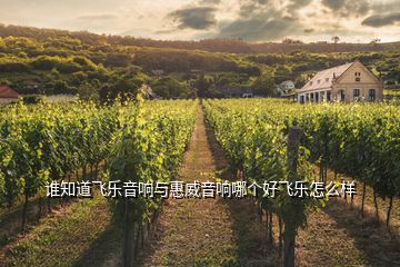 誰(shuí)知道飛樂音響與惠威音響哪個(gè)好飛樂怎么樣
