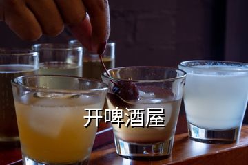 開(kāi)啤酒屋