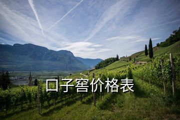 口子窖價(jià)格表