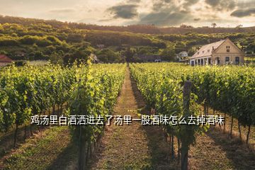 雞湯里白酒灑進去了湯里一股酒味怎么去掉酒味