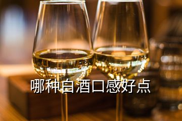 哪種白酒口感好點(diǎn)
