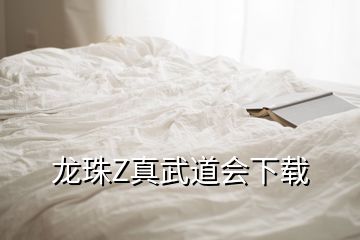 龍珠Z真武道會下載