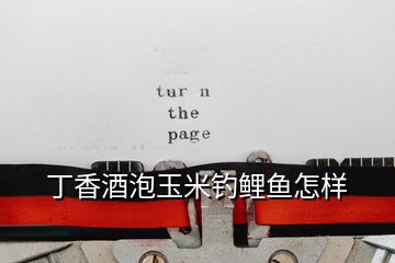 丁香酒泡玉米釣鯉魚(yú)怎樣