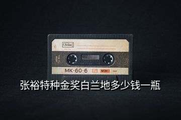 張裕特種金獎白蘭地多少錢一瓶