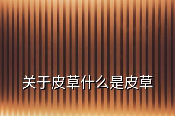 關于皮草什么是皮草