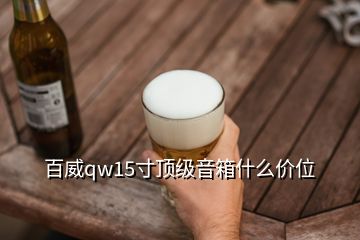 百威qw15寸頂級音箱什么價(jià)位