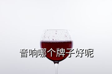 音響哪個牌子好呢