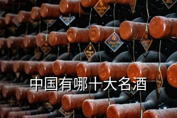 中國(guó)有哪十大名酒