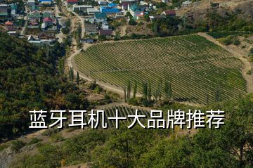 藍(lán)牙耳機(jī)十大品牌推薦