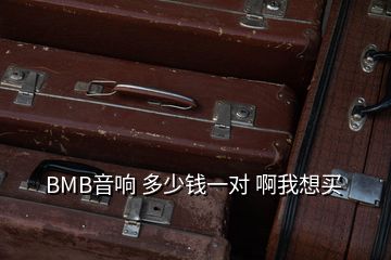 BMB音響 多少錢(qián)一對(duì) 啊我想買(mǎi)