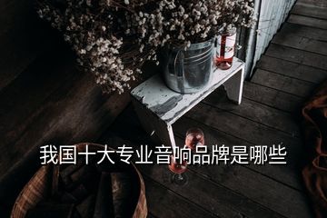 我國(guó)十大專業(yè)音響品牌是哪些