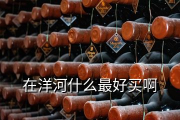在洋河什么最好買(mǎi)啊