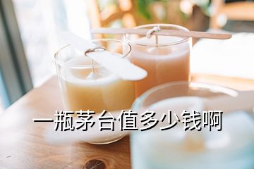 一瓶茅臺(tái)值多少錢啊