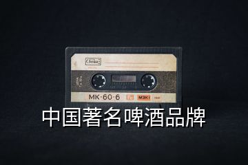 中國著名啤酒品牌