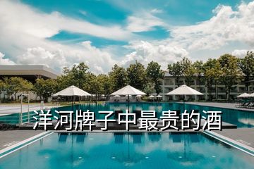 洋河牌子中最貴的酒