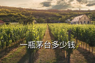 一瓶茅臺多少錢
