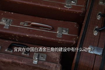 宜賓在中國白酒金三角的建設(shè)中有什么動作