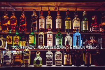 武漢保利心語910期新地塊在哪里啊聽說有板樓到時候要去看看啊