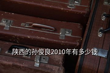 陜西的孫俊良2010年有多少錢