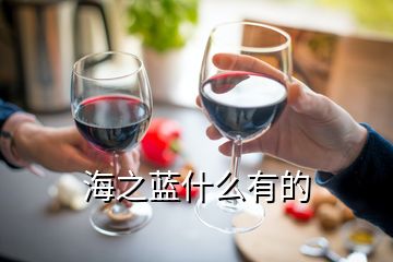 海之藍什么有的
