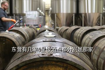 東營有幾家5星級酒點都分別是那家