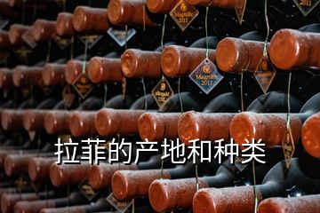 拉菲的產(chǎn)地和種類