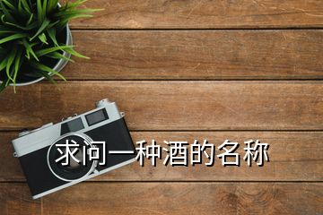 求問(wèn)一種酒的名稱