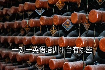 一對一英語培訓(xùn)平臺有哪些