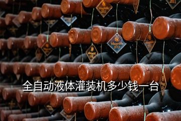 全自動(dòng)液體灌裝機(jī)多少錢一臺
